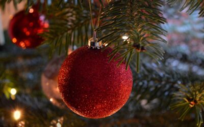 Info bibliothèque municipale