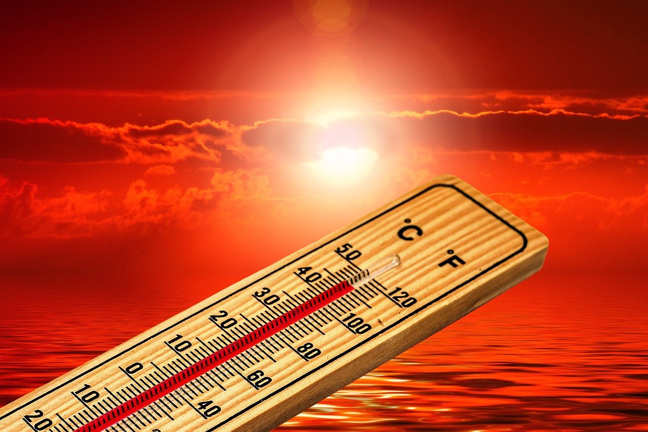 Canicule