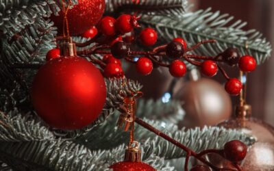 Vente de sapins naturels – Conscrits classe en 4 et 9