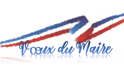 Cérémonie des voeux