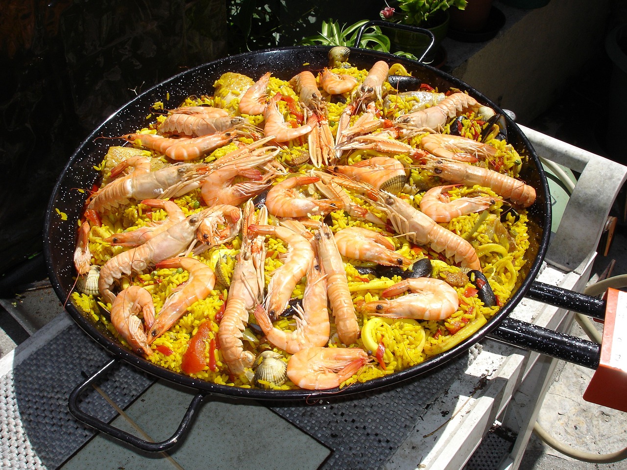 cuisine, espagnol, paella, plat typique, fruits de mer, langoustines, crevettes, moules, paella, paella, paella, paella, paella