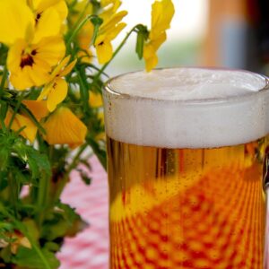 beer, glass, drink, beer garden, refreshment, thirst, alcoholic, thirst quencher, prost, head, to celebrate, oktoberfest, bavaria, bavarian, beer, beer, beer, beer, beer, oktoberfest