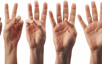 5 Règles d’or