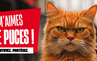 Semaine Nationale de l’Identification