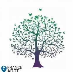 Journée Nationale du Don d’Organes