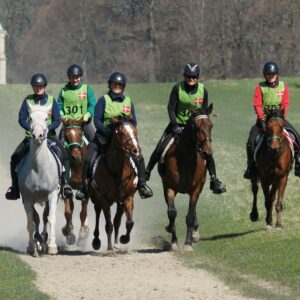 A group of people riding on the backs of horses